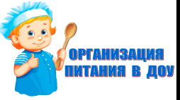 Организация питания в ДОУ